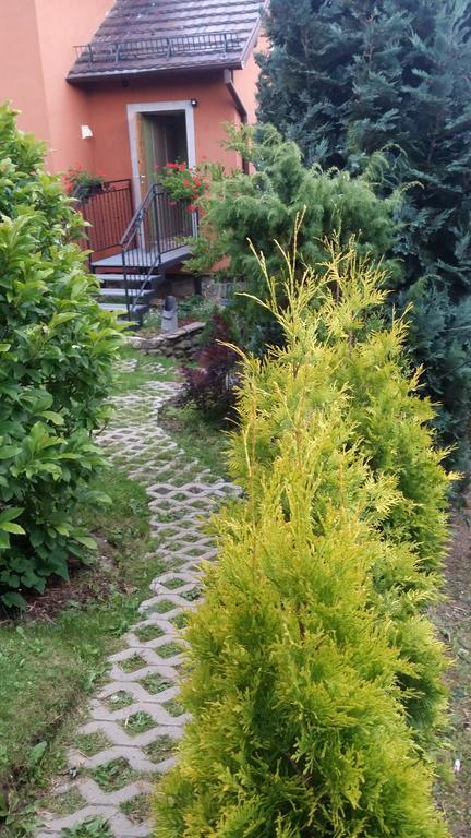 Noclegi U Andrzeja Душники-Здруй Экстерьер фото